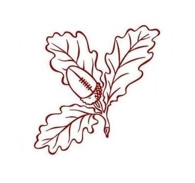 INSTAGRAM-Surrey-Rugby-Logo
